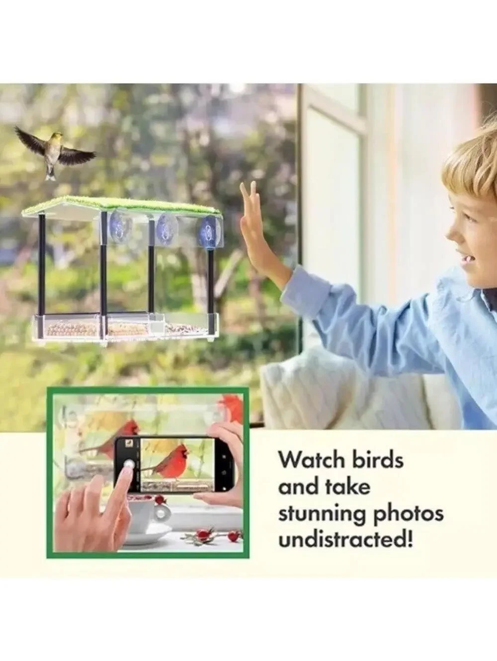 Window Bird Feeder Outdoor Strong Suction Cup Water Drain Transparent Viewing